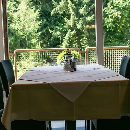 Haus Am Wasserfall Πανσιόν Ντέτμολντ