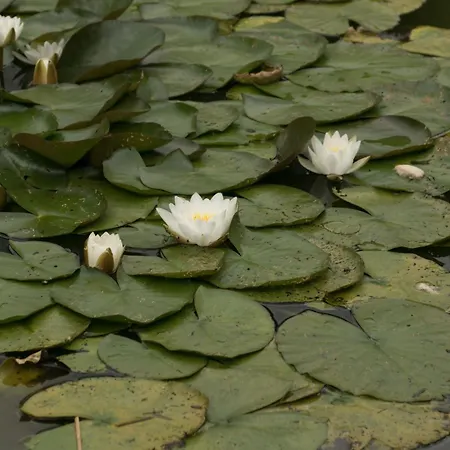 Haus Am Wasserfall 3* Детмольд