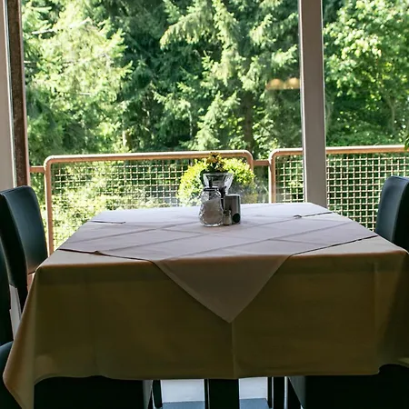 Haus Am Wasserfall Pensión 3*