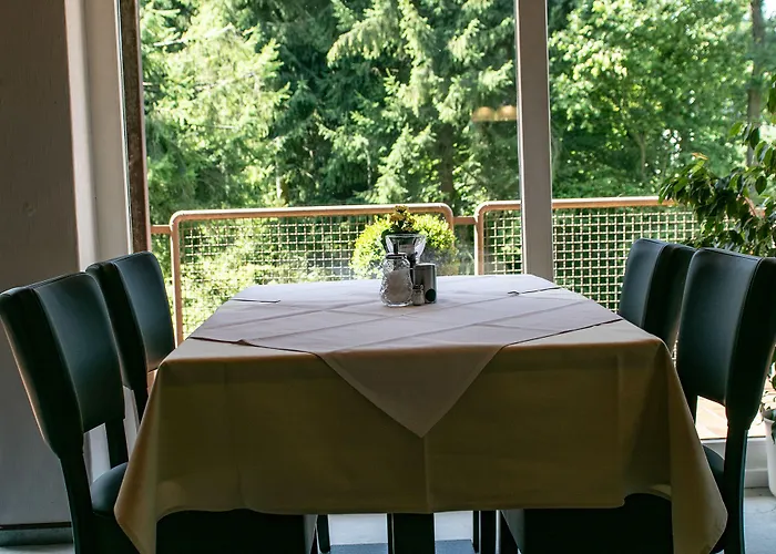 Haus Am Wasserfall Pensjonat Detmold